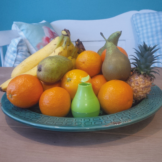 Piège pour mouches à fruits - HG