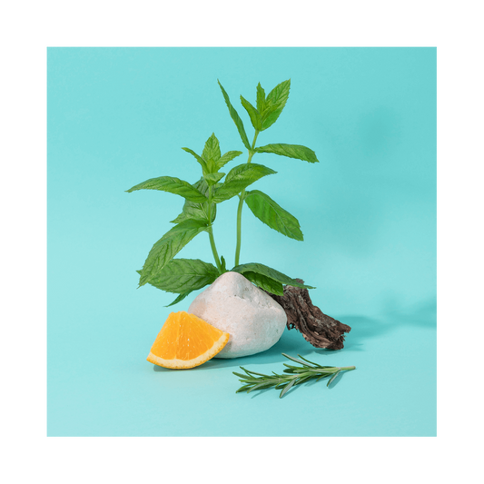 Savon Liquide de Marseille Energisant - Compagnie de Provence