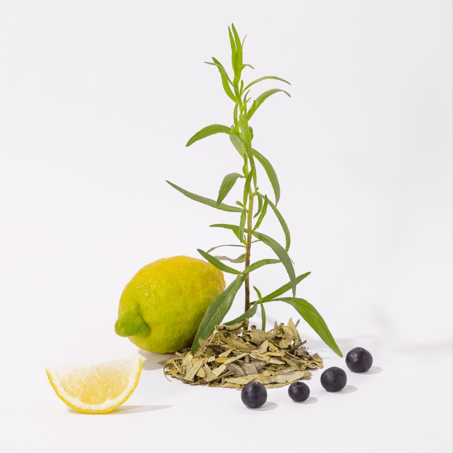 Eco-recharge de Savon Liquide de Marseille Thé Blanc - Compagnie de Provence