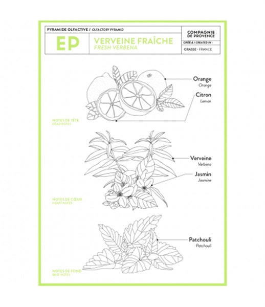 Mini Savon de Marseille Verveine Fraîche - Compagnie de Provence