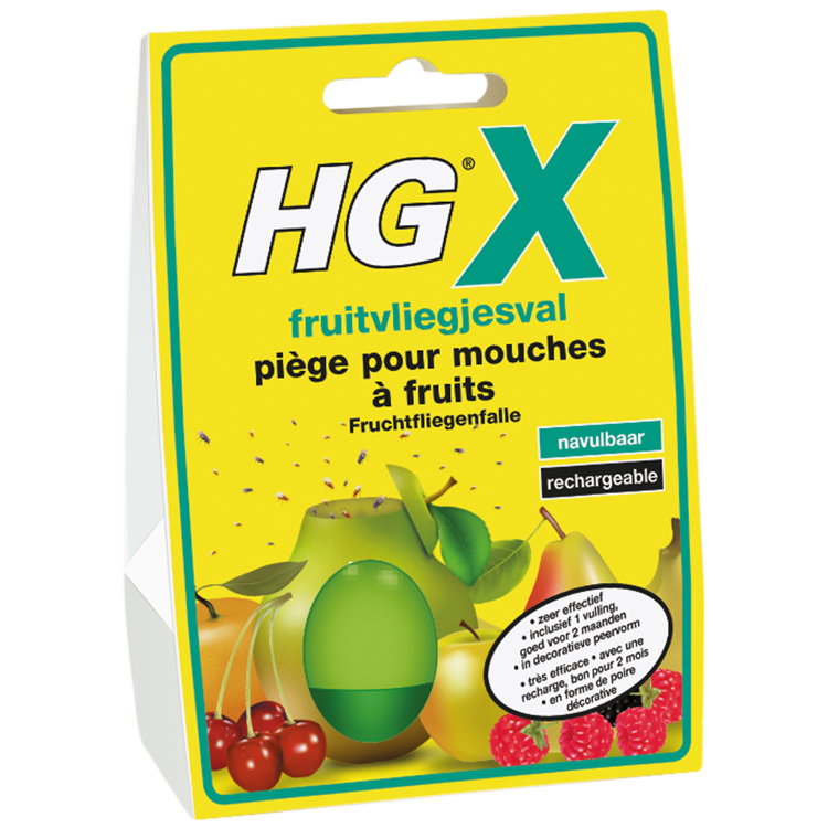 Piège pour mouches à fruits - HG