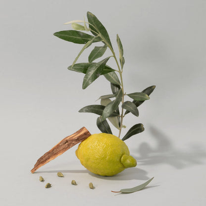 Savon de Marseille Bois d'Olivier - Compagnie de Provence