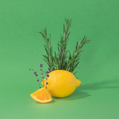 Crème Mains Romarin Vitaminé - Compagnie de Provence