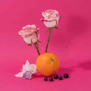 Crème Mains Rose Sauvage - Compagnie de Provence