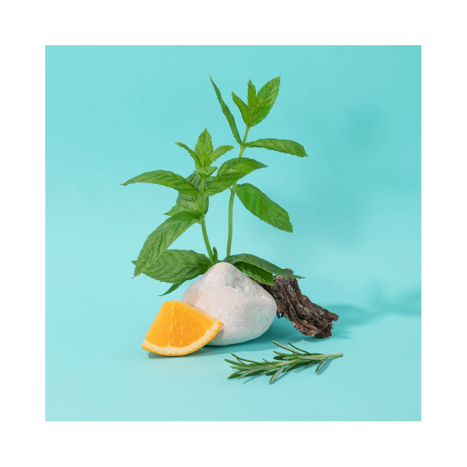 Diffuseur de parfum Energisant Menthe/Basilic - Compagnie de Provence