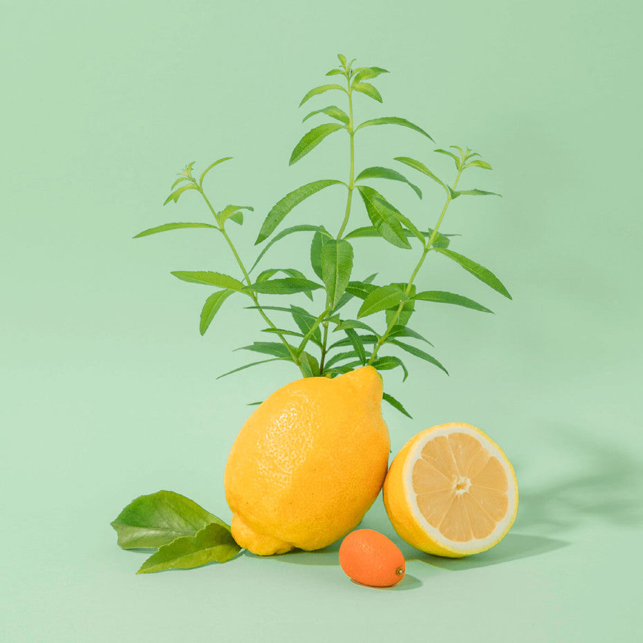 Kit Peau douce - Verveine Fraîche - Compagnie de Provence