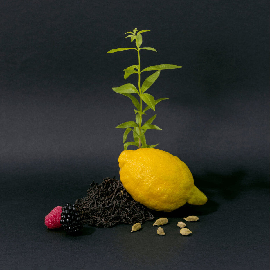 Eco-recharge de Savon Liquide de Marseille Thé Noir - Compagnie de Provence