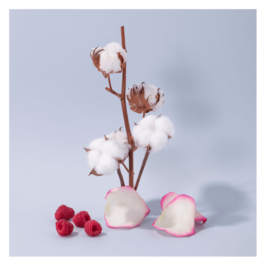 Savon de Marseille Fleur de Coton - Compagnie de Provence