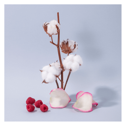 Savon de Marseille Fleur de Coton - Compagnie de Provence