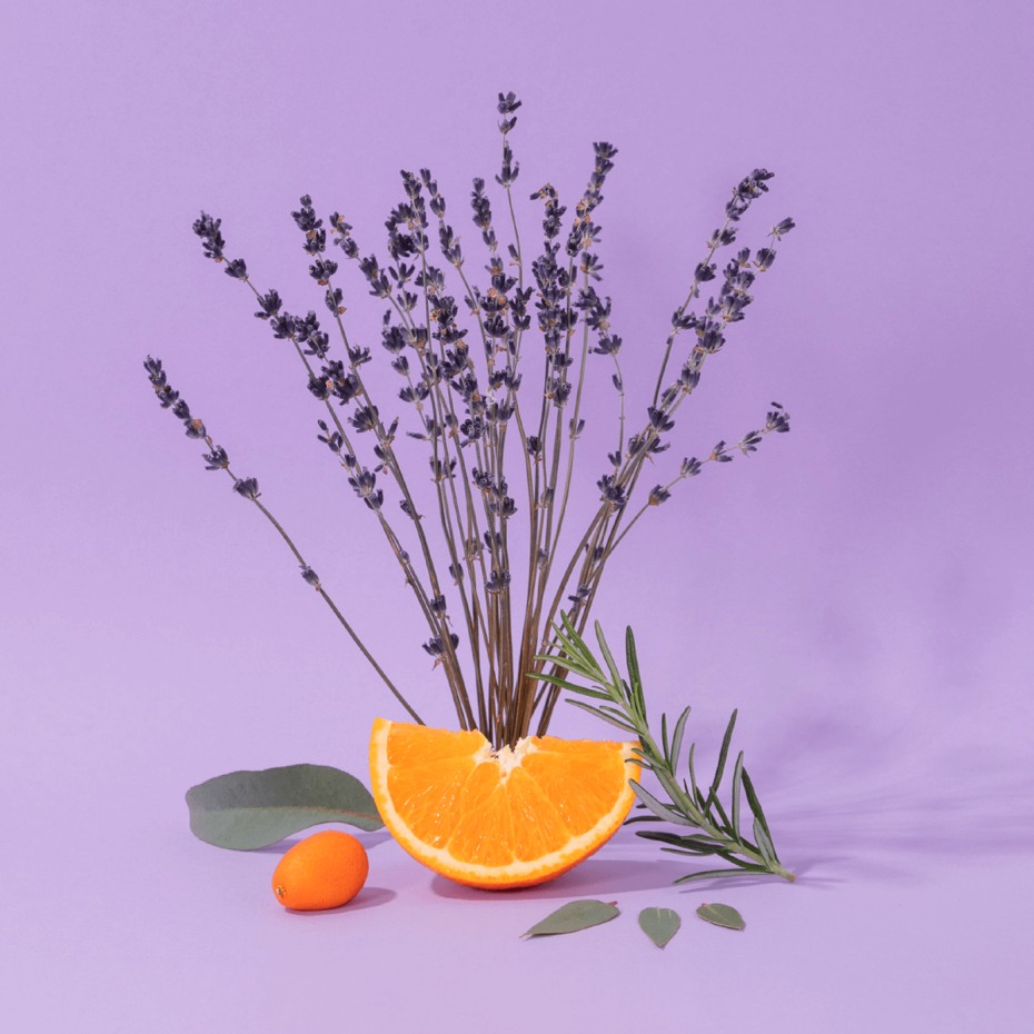 Savon de Marseille Lavande Aromatique - Compagnie de Provence