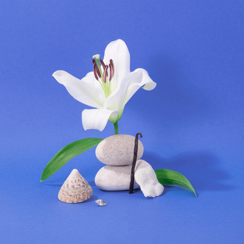 Mini Savon de Marseille Méditerranée - Compagnie de Provence