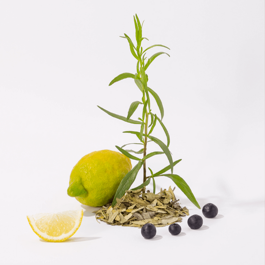 Eco-recharge de Savon Liquide de Marseille Thé Blanc - Compagnie de Provence