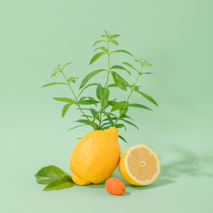Mini Savon de Marseille Verveine Fraîche - Compagnie de Provence