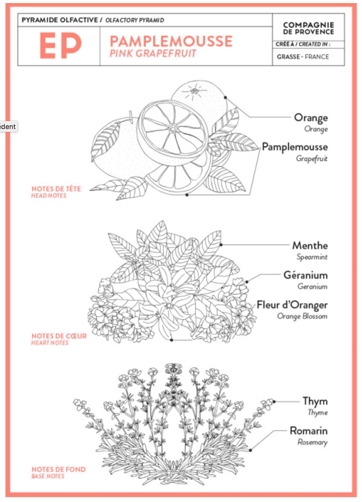 Mini Savon de Marseille Pamplemousse - Compagnie de Provence - 25Gr
