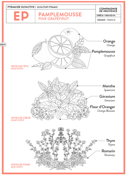 Mini Savon de Marseille Pamplemousse - Compagnie de Provence - 25Gr