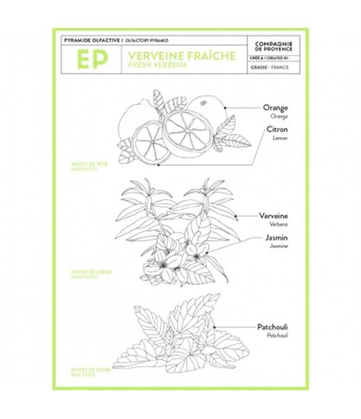 Mini Savon de Marseille - Compagnie de Provence